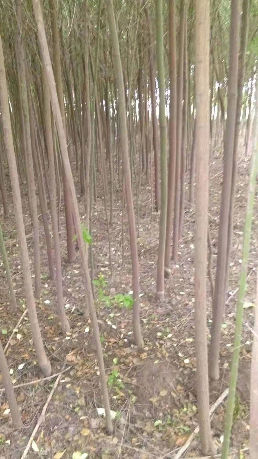 ˿��ľ