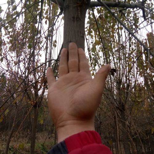˿��ľ